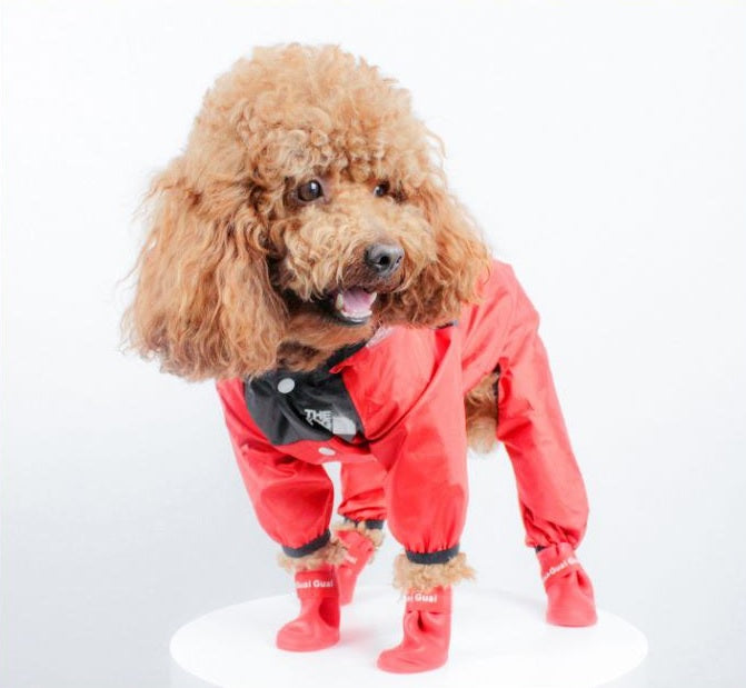 Bunte Regenjacke für Hunde