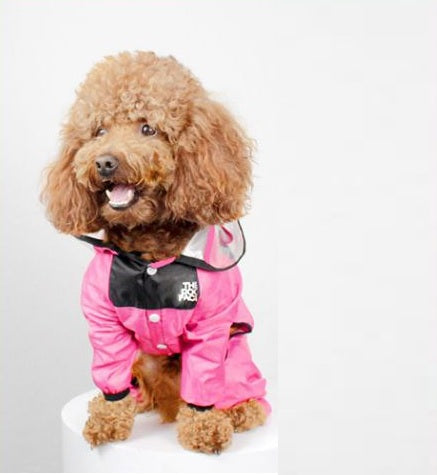 Bunte Regenjacke für Hunde