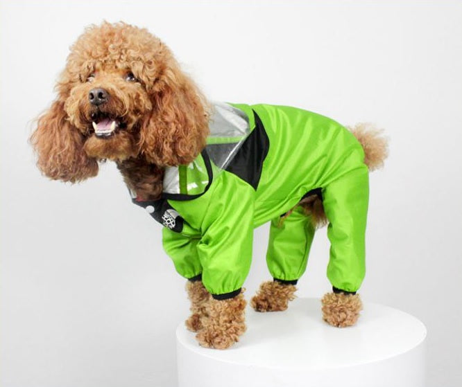 Bunte Regenjacke für Hunde