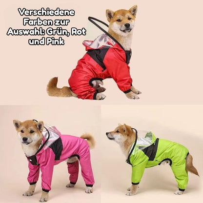 Bunte Regenjacke für Hunde